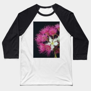 Brushbox Framed by Corymbia Ficifolia Baseball T-Shirt